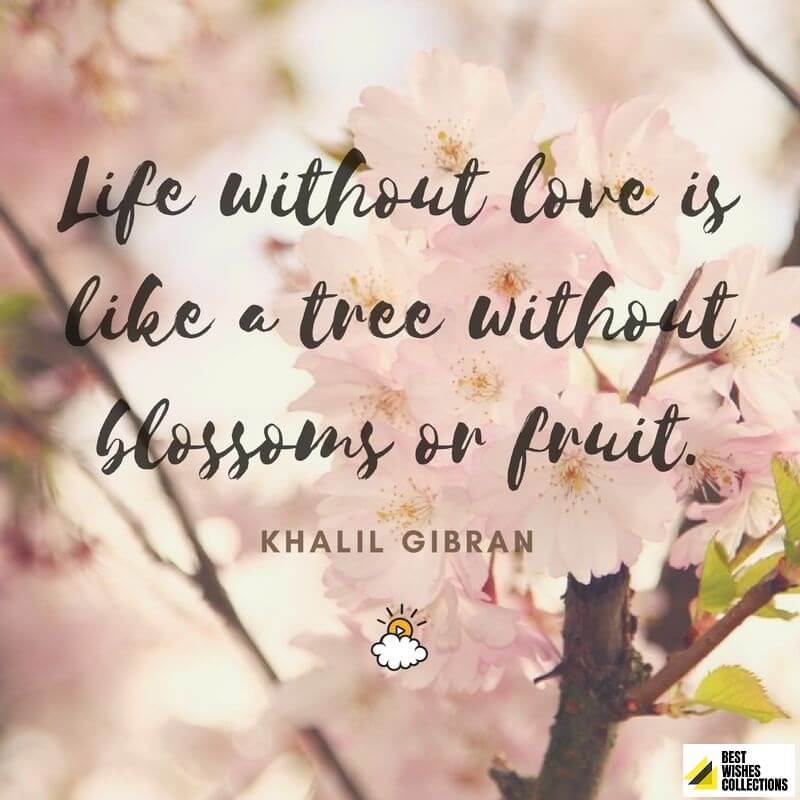 Life without a friend is. Цитаты про дерево любви. Inspirational quotes about Love. Kahlil Gibran quotes. Jabra Khalil quotes.