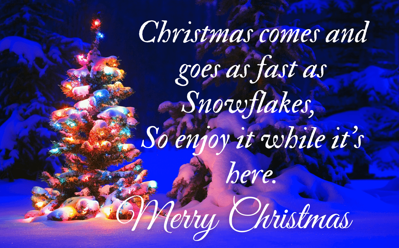 Top 50 Christmas Wishes, Quotes, Sayings, Messages, Status & Images