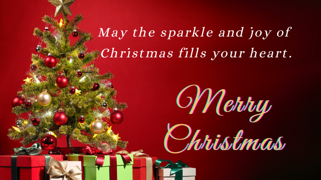 merry Christmas wishes
