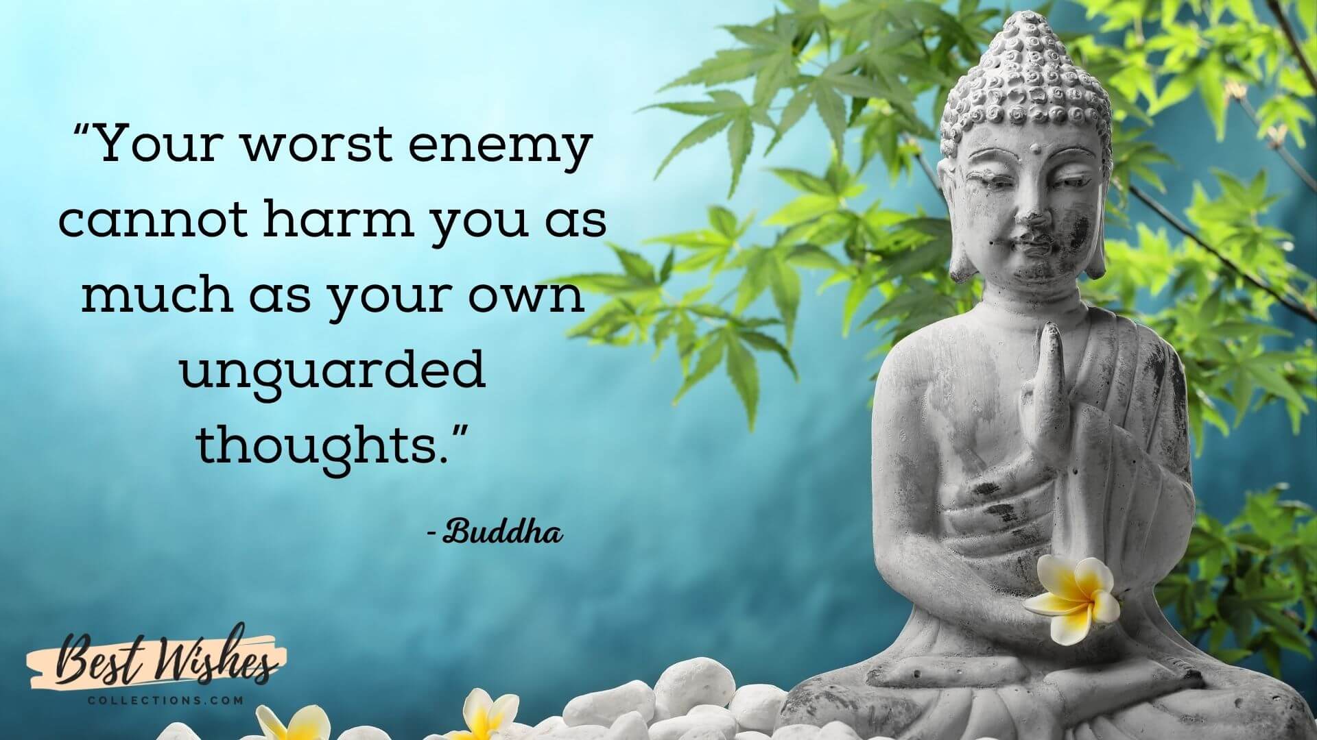 101 Buddha Purnima Quotes & Wishes to Enlighten Your Thoughts