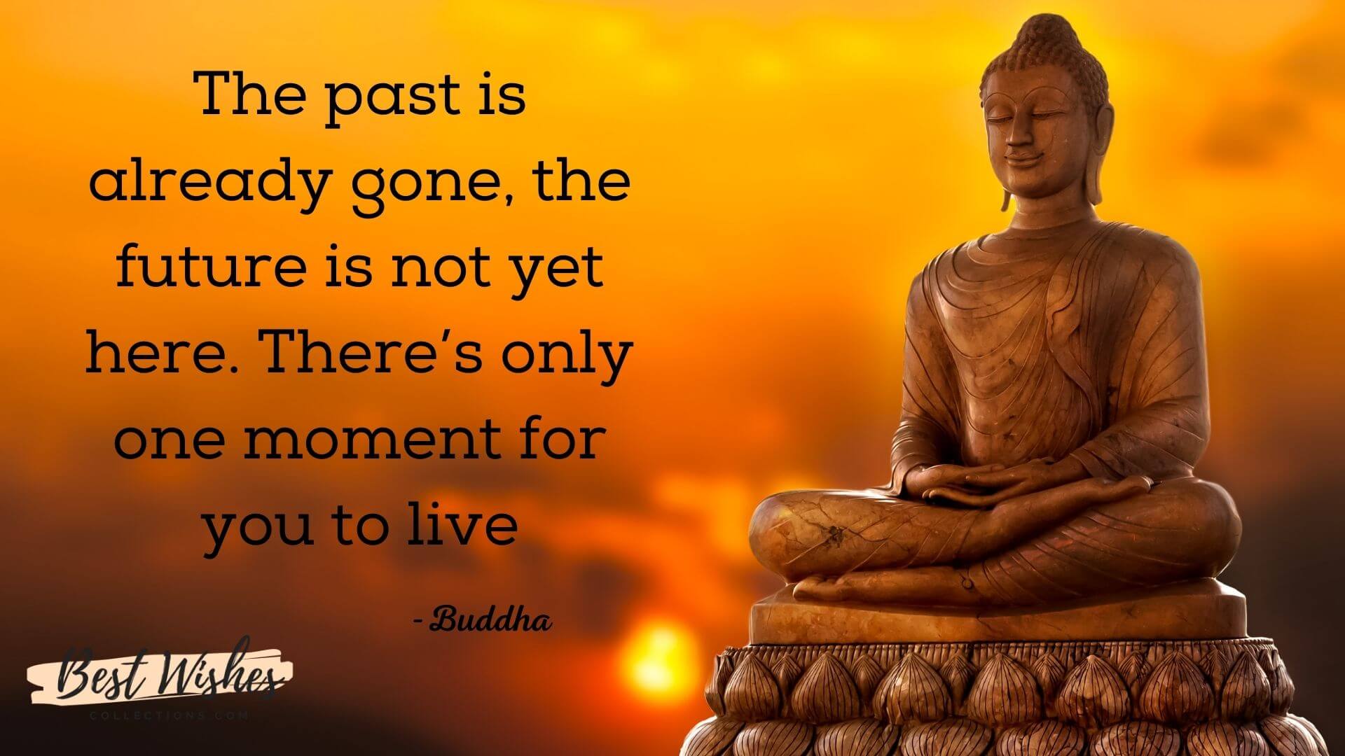 101 Buddha Purnima Quotes & Wishes to Enlighten Your Thoughts