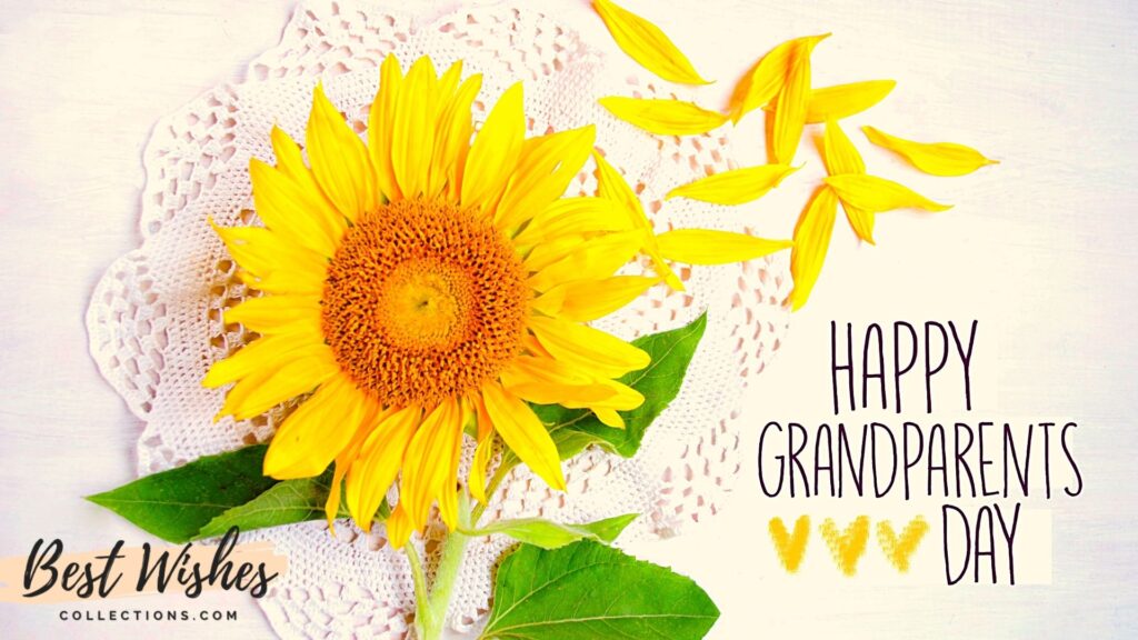 happy grandparents day