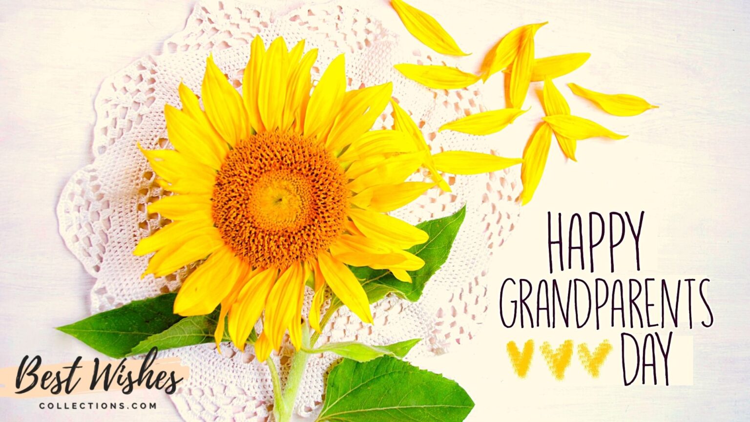 National Grandparents Day Wishes, quotes, messages & Images