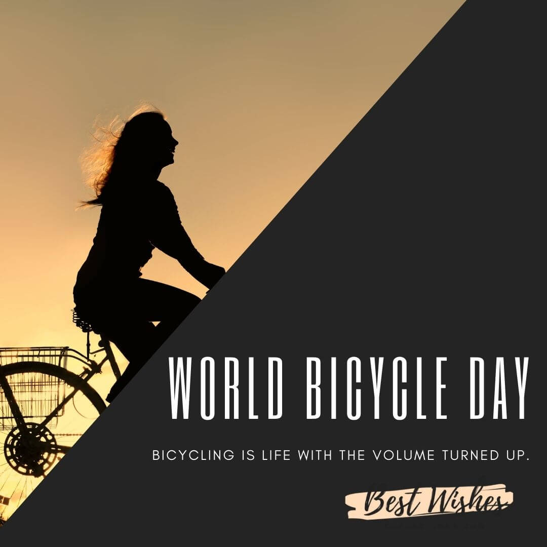 Top 55 inspirational world bicycle day Quotes to motivate Everyone
