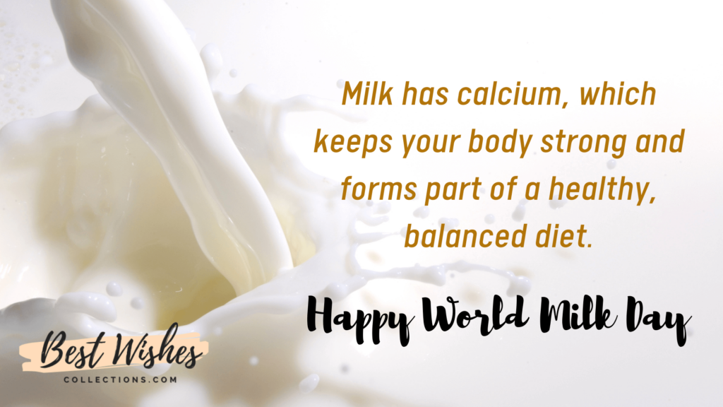world milk day  images
