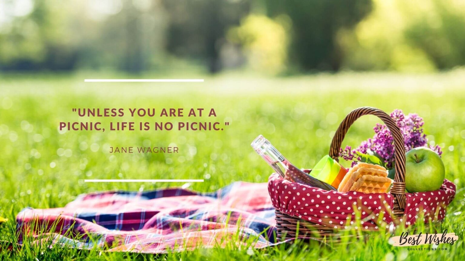 20 Famous International Picnic Day Quotes & Sayings