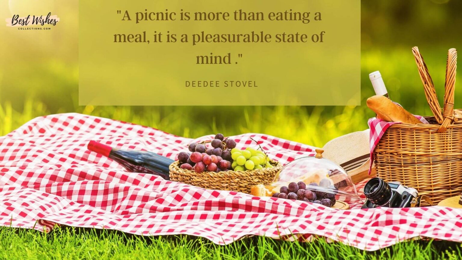 20 Famous International Picnic Day Quotes & Sayings