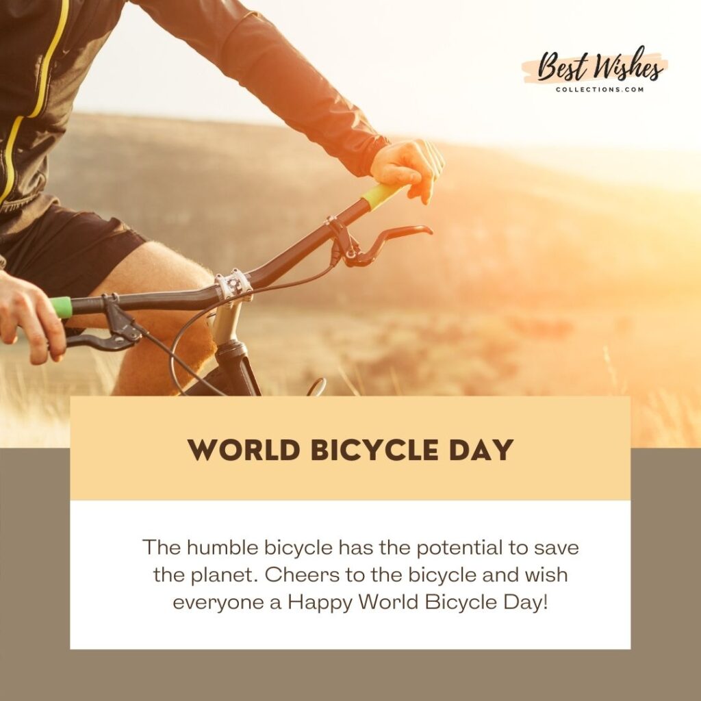 World Bicycle Day Quotes