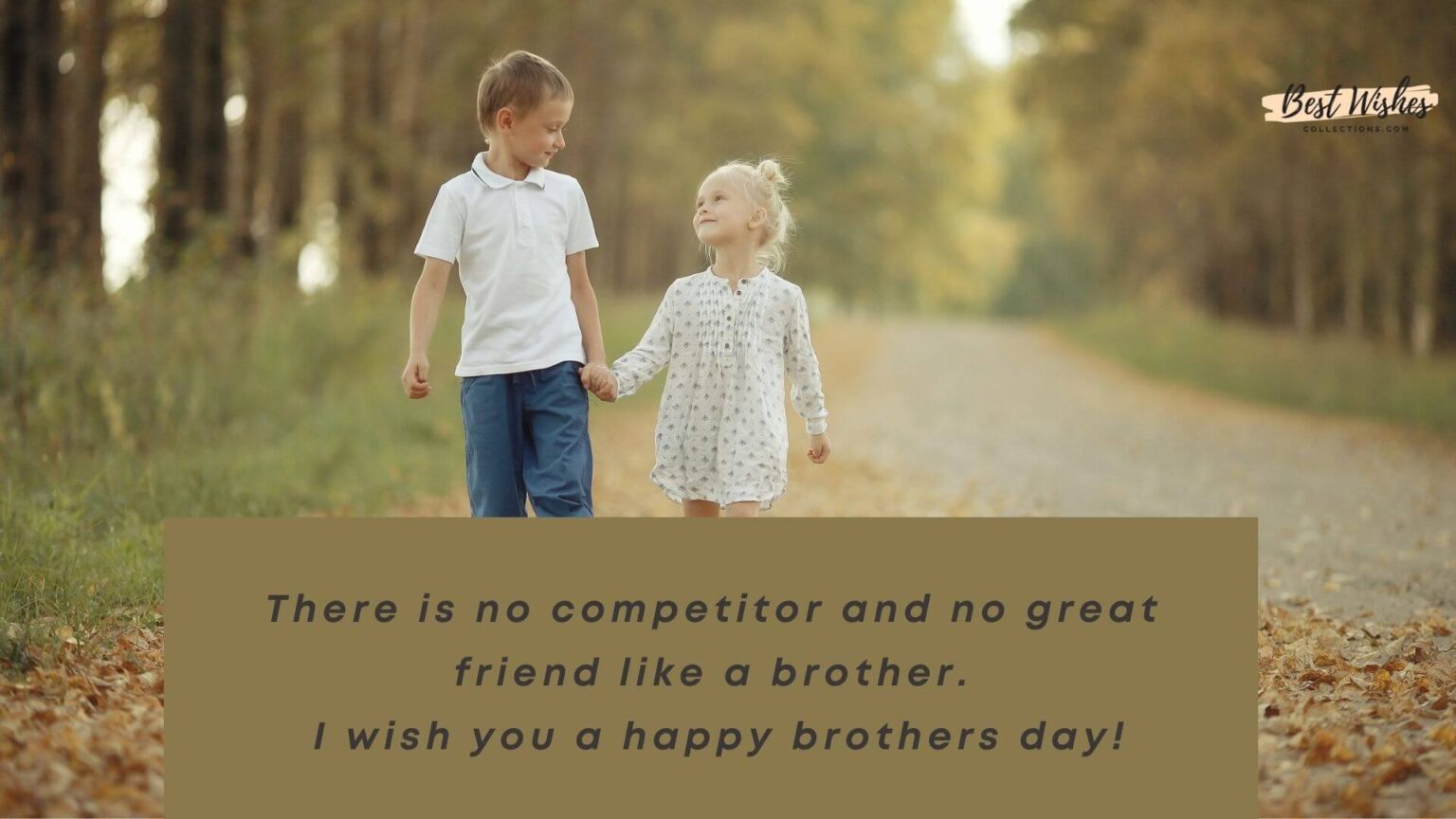 Happy Brother's Day (24 May) Wishes, Messages, Quotes with Images