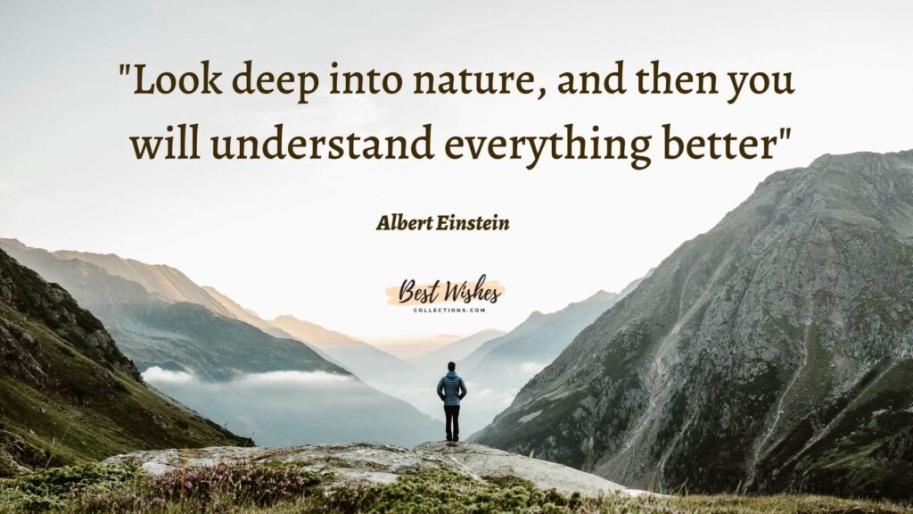 nature conservation quotes by Albert Einstein