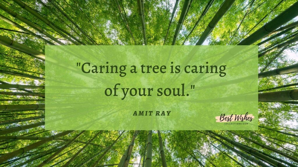 nature conservation quotes by Amit Ray