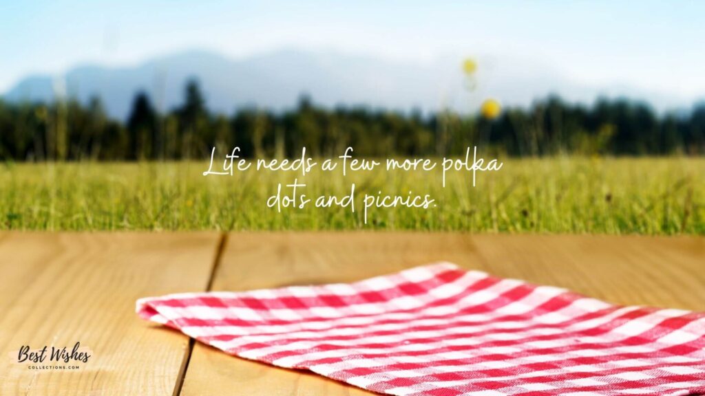 International Picnic Day Quotes 