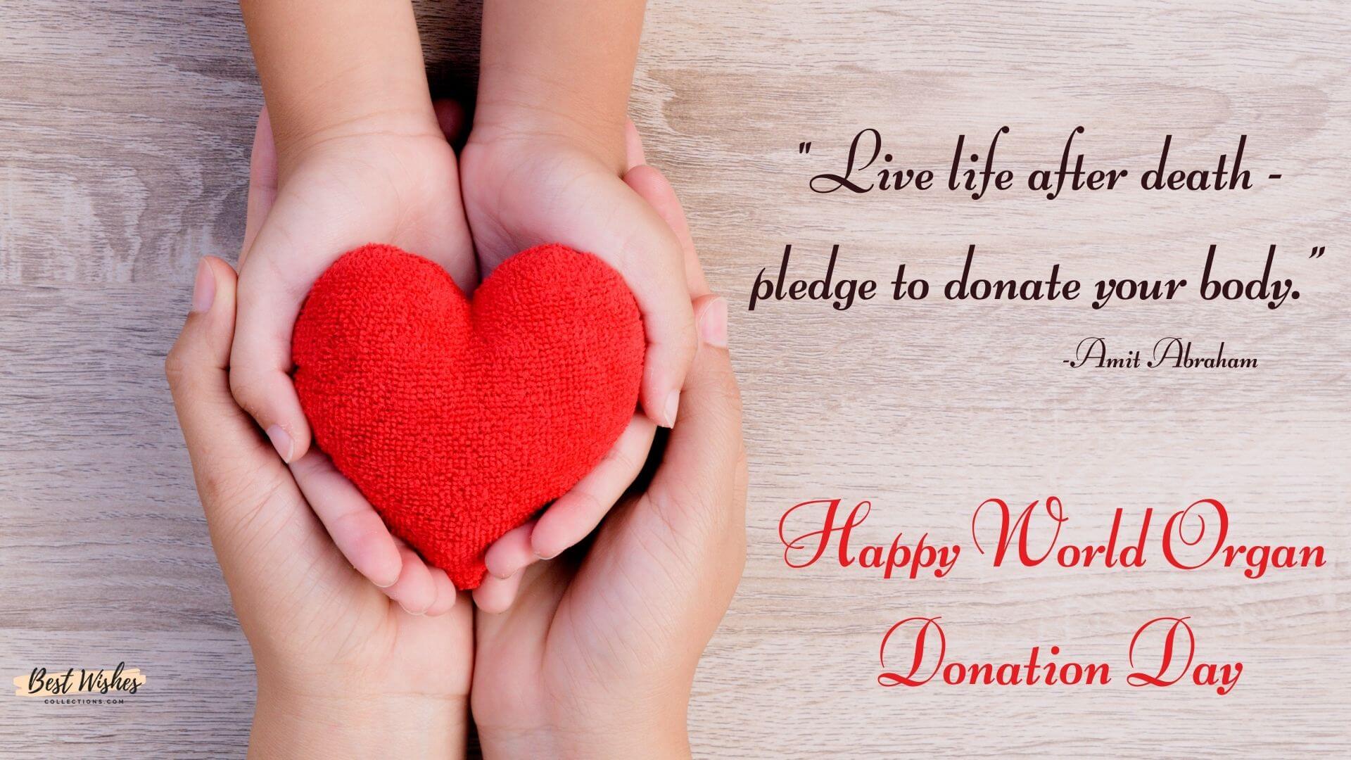 40 World Organ Donation Day Messages, Quotes & Greetings