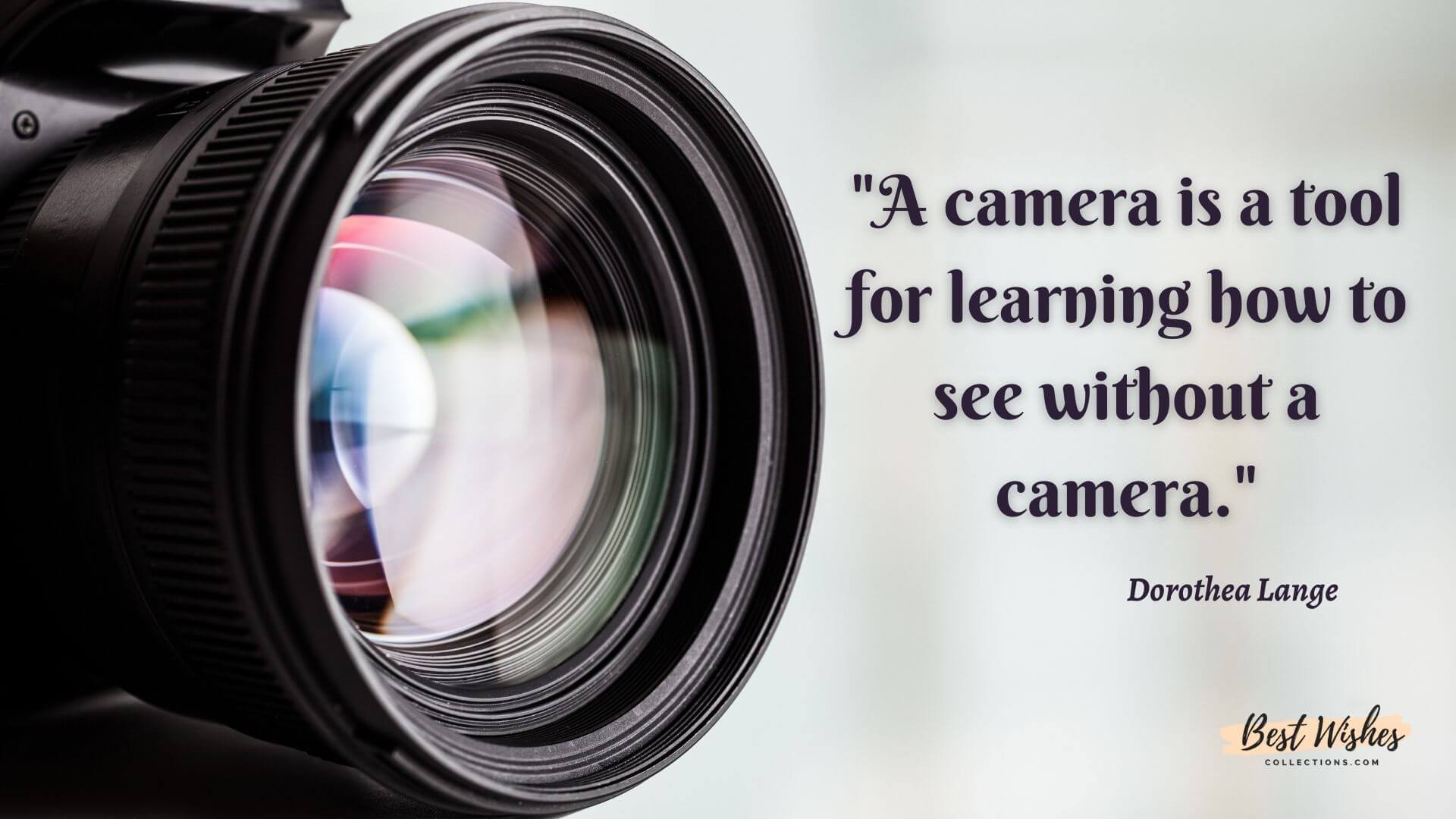 World Photography Day Quotes Wishes Messages Greetings