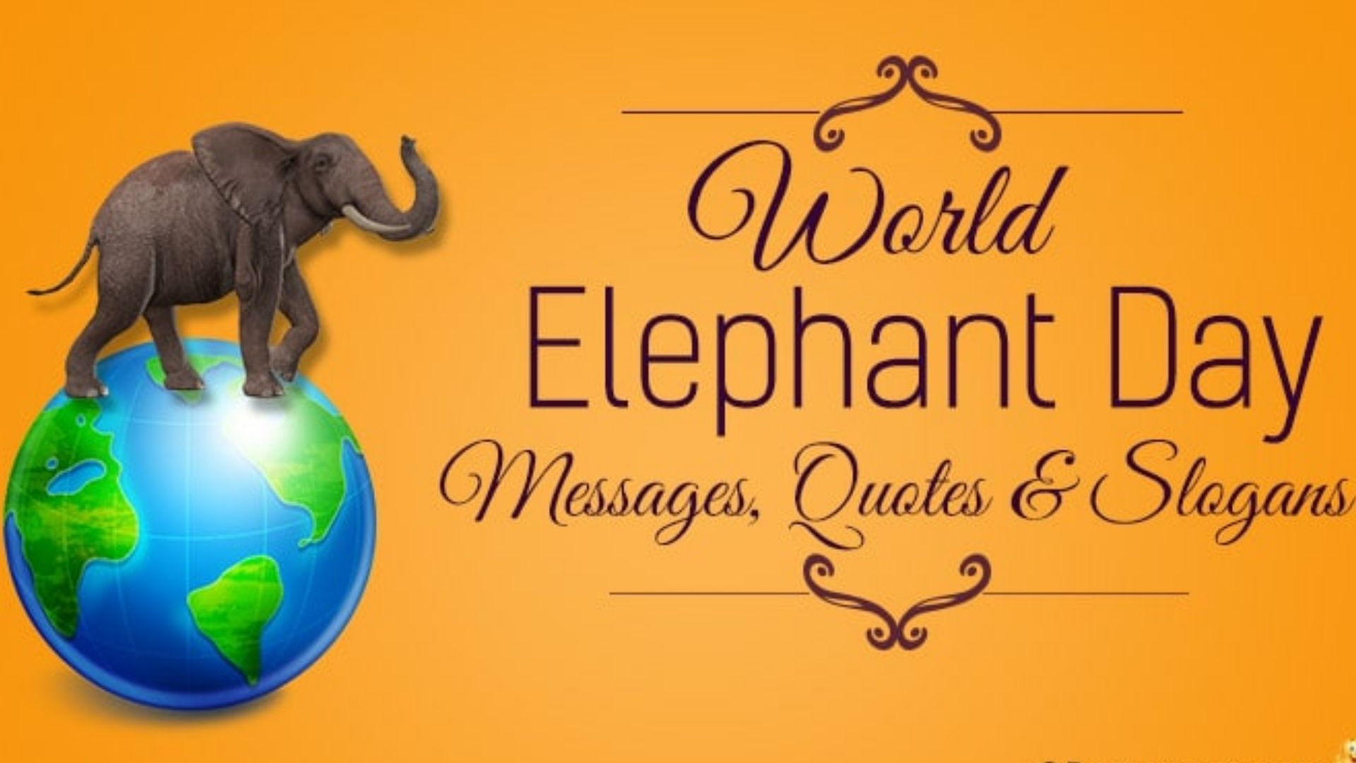 World Elephant Day Messages, Quotes & Greetings