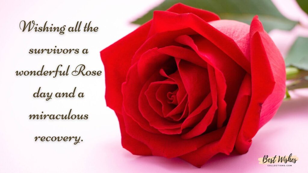 World Rose Day quotes