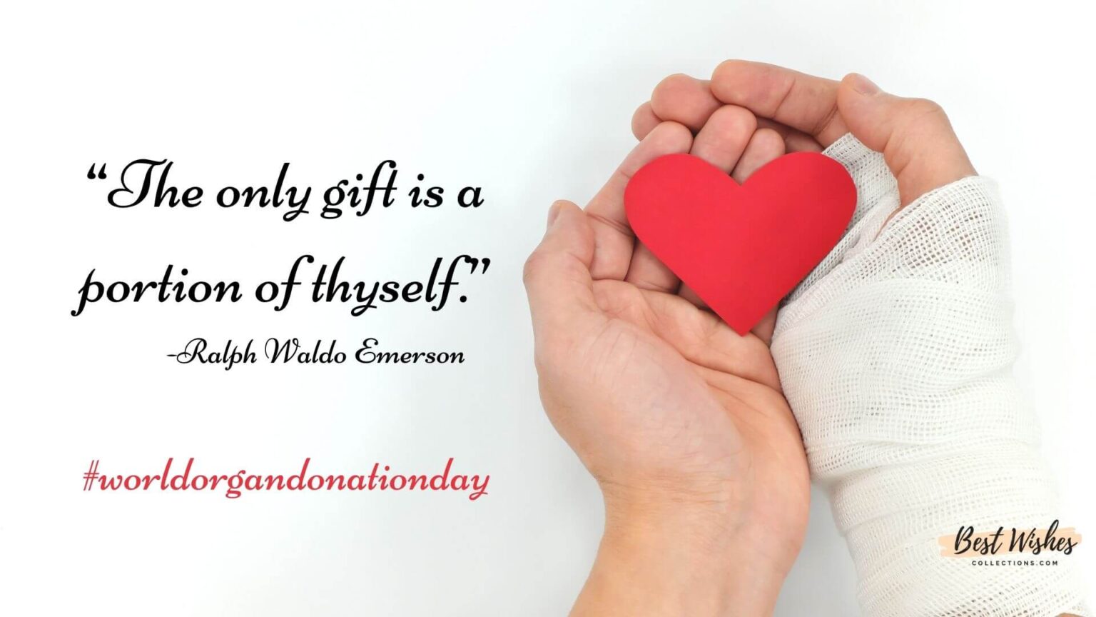 40 World Organ Donation Day Messages, Quotes & Greetings