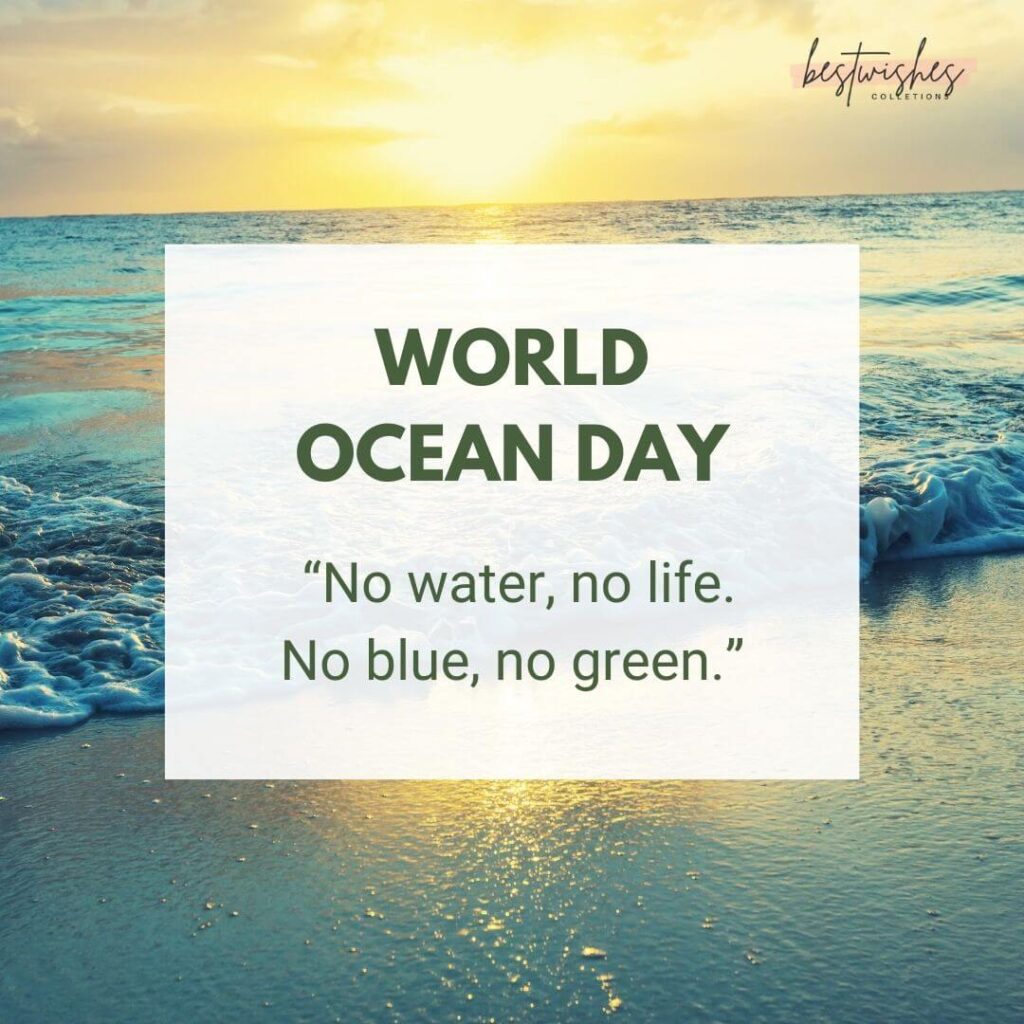 35 World Ocean Day Quotes Wishes Inspiring Messages