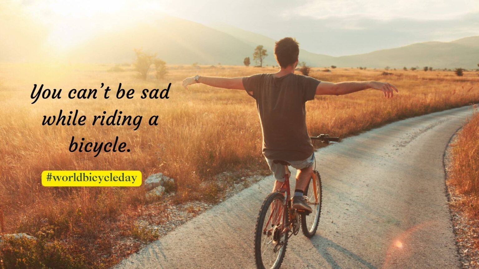 Top 55 inspirational world bicycle day Quotes to motivate Everyone