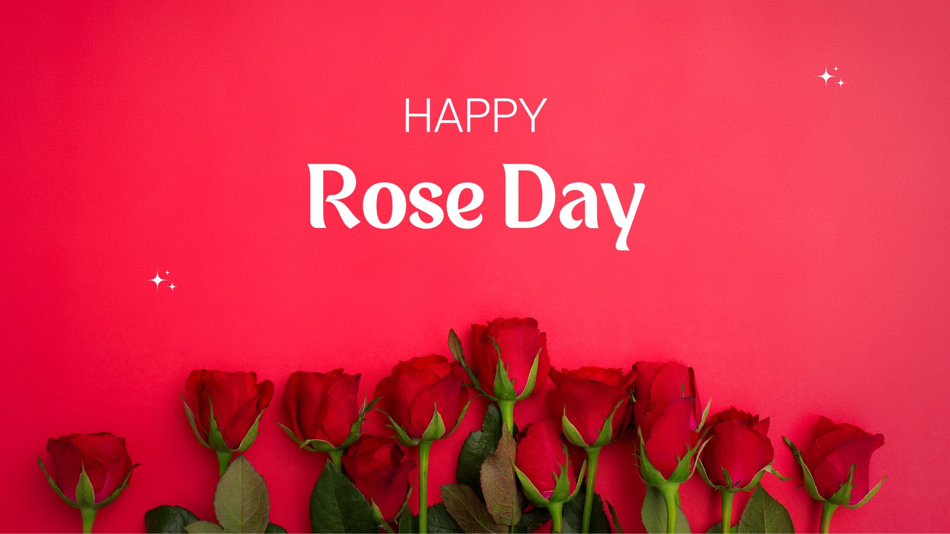 World Rose Day 2023: History, Significance, Quotes - Best Wishes ...