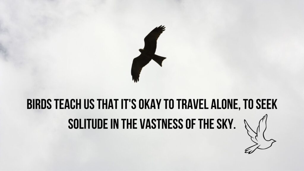 Motivational Quotes on Bird