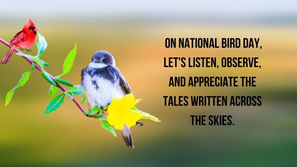 Quotes on National Bird Day 2024