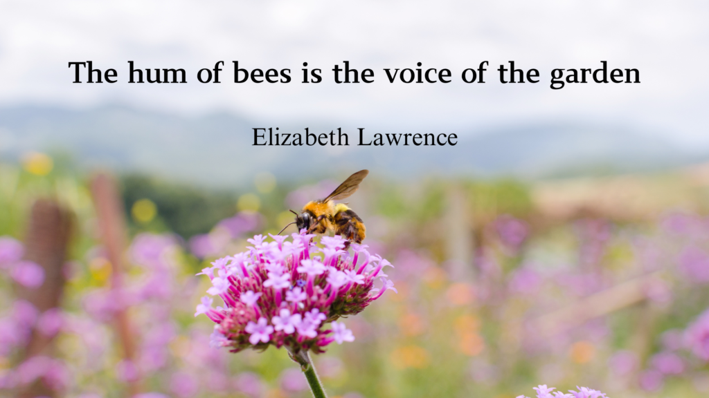 Inspirational Bee Quotes