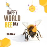 World Bee Day: Celebrating and Protecting Our Vital Pollinators